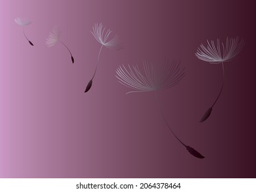 Flying dandelion seeds, vector icon.Dandelion parachutes by the wind