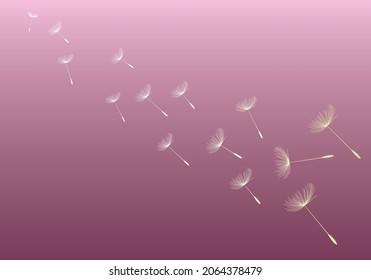 Flying dandelion seeds, vector icon.Dandelion parachutes by the wind