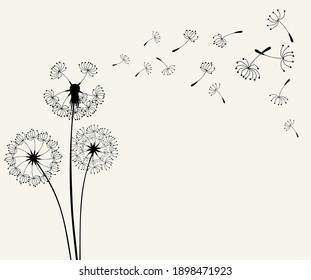 Flying dandelion seeds, vector illustration