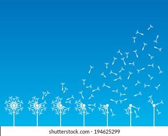 Flying dandelion seeds in the wind. Vector illustration
