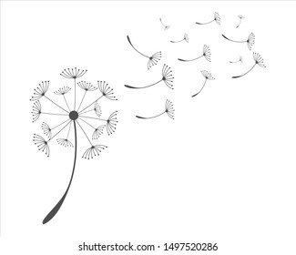 a flying dandelion that looks beautiful vector