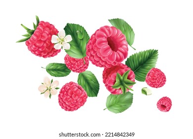 Flying delicious raspberry berries blossomed flowers and leaves realistic colored abstract composition on white background vector illustration