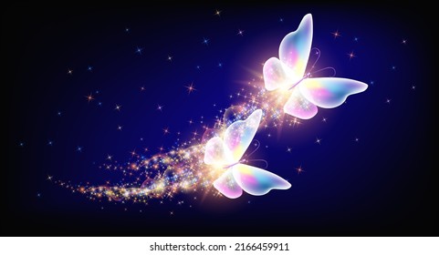 Flying delightful butterfly with sparkle and blazing trail flying in night sky among shiny glowing stars in night sky. Animal protection day concept.