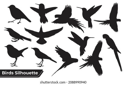 Flying Different Type of Birds silhouette with wings