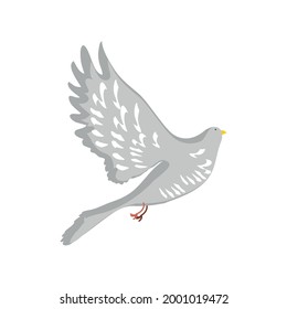 flying dove bird isolated image