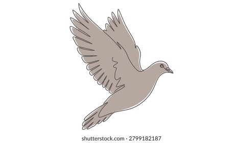 Flying dove bird symbol of peace vector illustration with elevation movement illustration minimalist isolated messenger wildlife silhouette