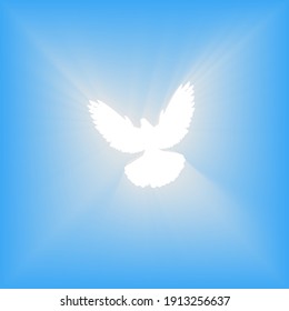 Flying dove. Blue background with bright rays. Easter. The symbol of purity. Christian faith. Holy Spirit. Vector illustration.