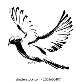 Flying dove hand-drawn in black ink. Black and white graphics