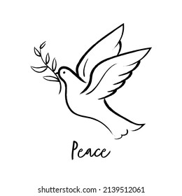 Flying dove holding olive branch hand drawing. Peace dove vector.