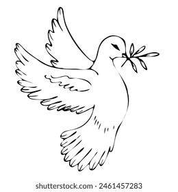 Flying dove holding an olive branch as a sign of peace line art vector