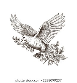 Flying dove. Hope and Faith. Art detailed editable illustration. Vector vintage engraving. Isolated on white background.