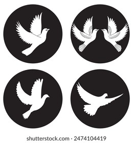 flying dove icon vector illustration symbol design