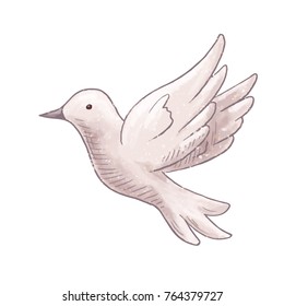 Flying dove isolated on a white background. Hand drawn symbol of wedding, love, hope and peace. Pigeons cartoon illustration