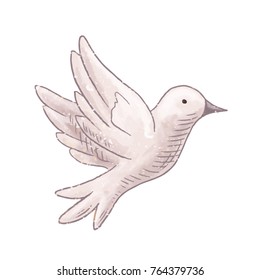 Flying dove isolated on a white background. Hand drawn symbol of wedding, love, hope and peace. Pigeons cartoon illustration