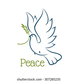 Flying dove or pigeon with olive branch and elegant curved wings isolated on white background. For peace or religion concept
