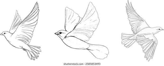 Flying Dove Set, Isolated Vector Illustration