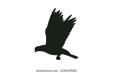 Flying Dove Silhouette Design  And Vector Illustration. 