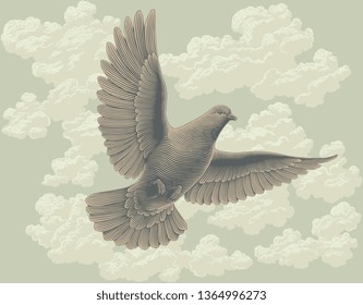 Flying dove in the sky. Hand drawn engraving. Editable vector vintage illustration. 8 EPS