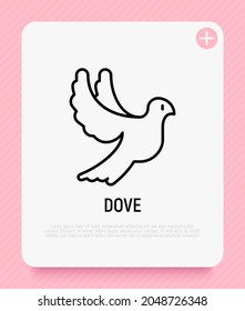 Flying dove thin line icon. Pigeon. Symbol of peace. Modern vector illustration for logo.
