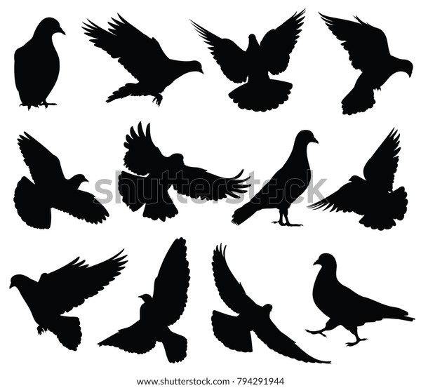 飛ぶ鳩のベクター画像シルエット ハトは愛と平和の象徴を作り出す 黒い形のハトとハトのシルエットイラスト のベクター画像素材 ロイヤリティフリー