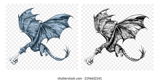 flying dragon illustration. Black ink vector sketch drawing