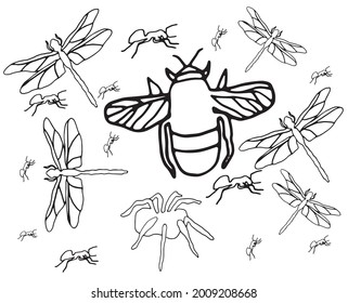 Flying dragonfly, Beetles, spiders with tentacles, whiskers, crawling ants with horns. Vector graphics 