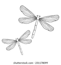 Flying dragonfly, hand drawing. Vector illustration.