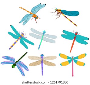 Flying Dragonfly Insect Stock Vector (Royalty Free) 1261791880 ...