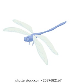 flying dragonfly on white background