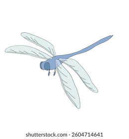 flying dragonfly on white background