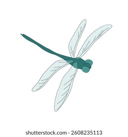 flying dragonfly on a white background