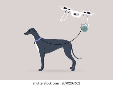 A flying drone copter walking a greyhound dog, new technologies in daily life, modern lifestyle concept