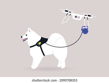 A flying drone copter walking a samoyed dog, new technologies in daily life, modern lifestyle concept