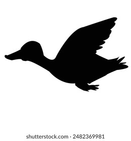 Flying Duck Beautiful Silhouette Vector EPS 10