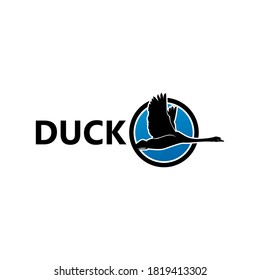 Flying Duck Logo Template Design Vector