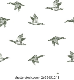 Flying duck, mallard, seamless pattern, vector sketch, hand drawn, monochrome