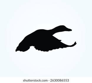 flying duck silhouette black and white vector design