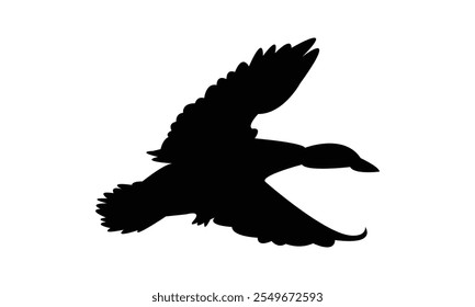 Flying Duck Silhouette Design  And Vector Illustration. 
