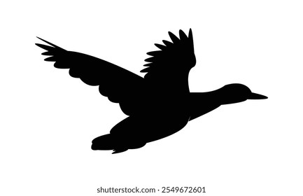 Flying Duck Silhouette Design  And Vector Illustration. 
