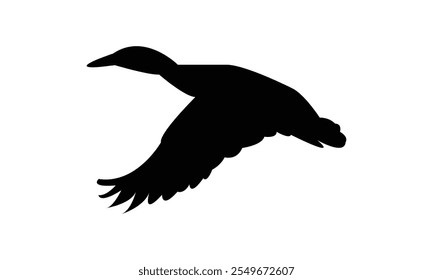 Flying Duck Silhouette Design  And Vector Illustration. 
