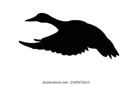 Flying Duck Silhouette Design  And Vector Illustration. 
