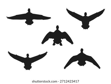 flying duck silhouette, front view duck vector illustration