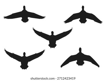 Silueta del pato volador, Ilustración vectorial del pato de la vista delantera