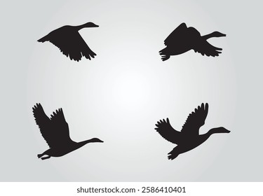 flying duck silhouette, flying mallard duck free vector illustration art 