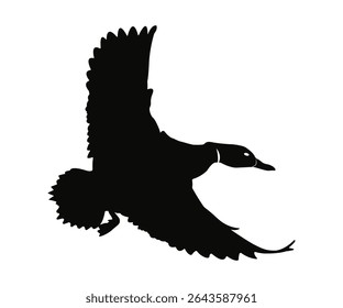 flying duck silhouette, silhouette of flying duck vector art