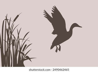 flying duck silhouette vector illustration with cattails silhouette , sticker, graphics