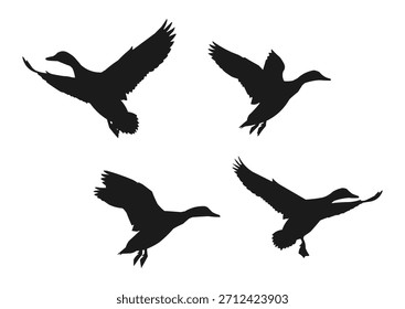 Silueta de pato volador, Ilustración vectorial de pato volador