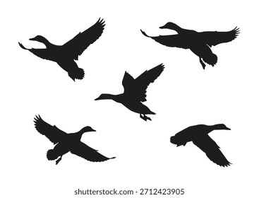 Silueta de pato volador, Ilustración vectorial de pato volador