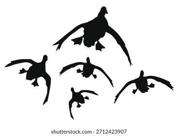 Silueta de pato volador, Ilustración vectorial de pato volador