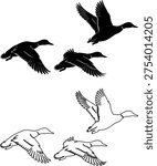 Flying duck silhouettes set, wild duck bird in flight with wings spread wildlife waterfowl vector illustration collection isolated design